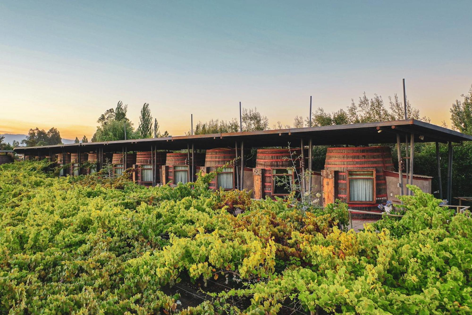 Cava Colchagua Hotel Boutique Santa Cruz Exterior foto