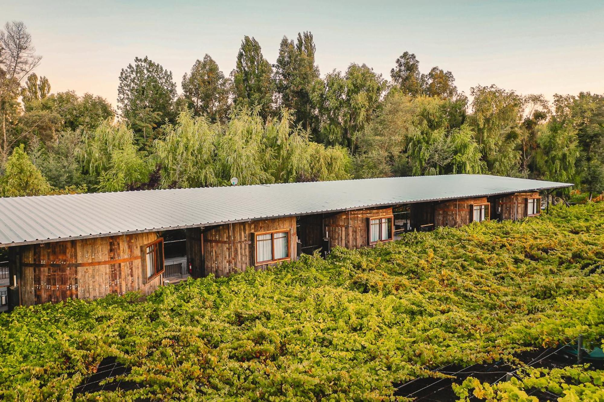 Cava Colchagua Hotel Boutique Santa Cruz Habitación foto